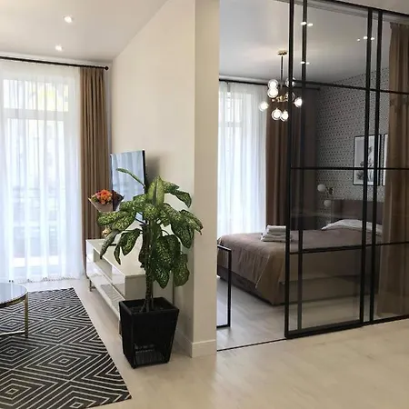 *luxury In The Center*